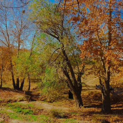 Fall Full Of Beautiful Colors