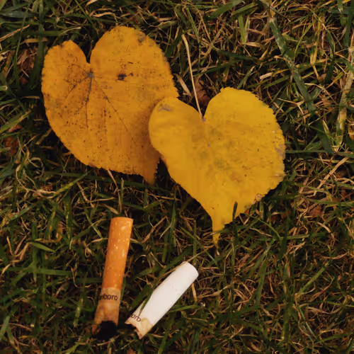 Destroying Nature  by Human