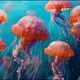 colorful jellyfish