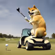 DogeTheGolfer