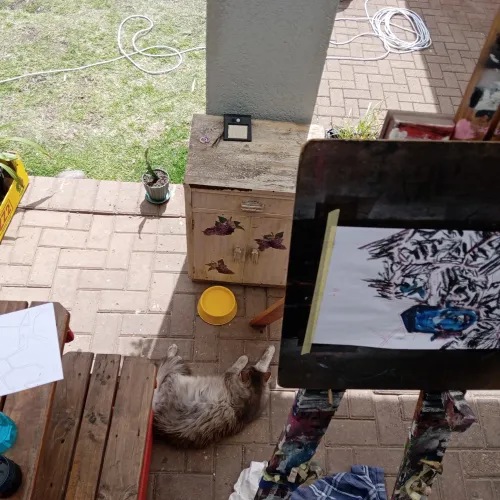 Art and cat