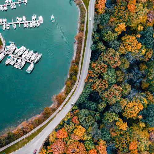 Autumn from Above