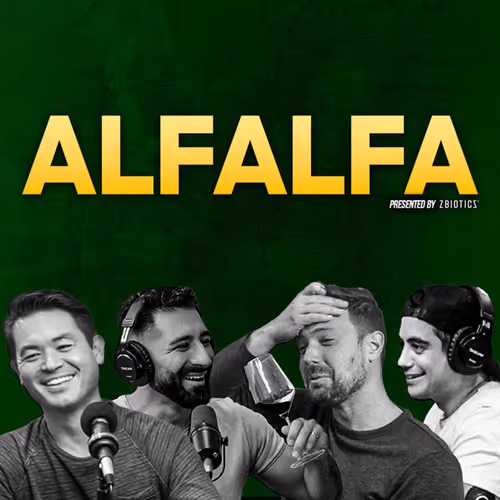 Alfalfa