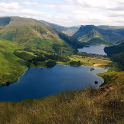 项目媒体占位符