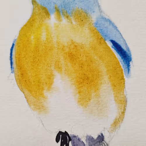 Blue bird