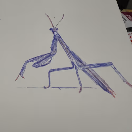 Mantis attempt