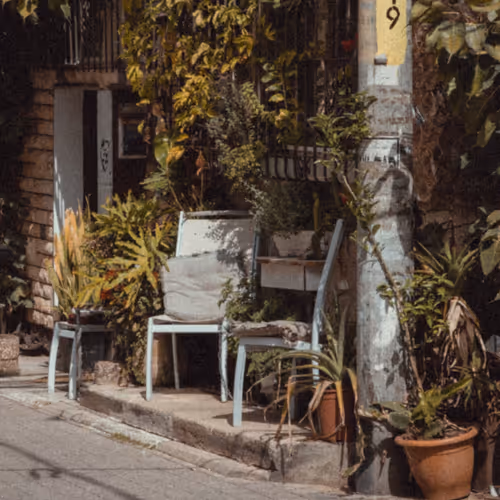 Urban Jungle