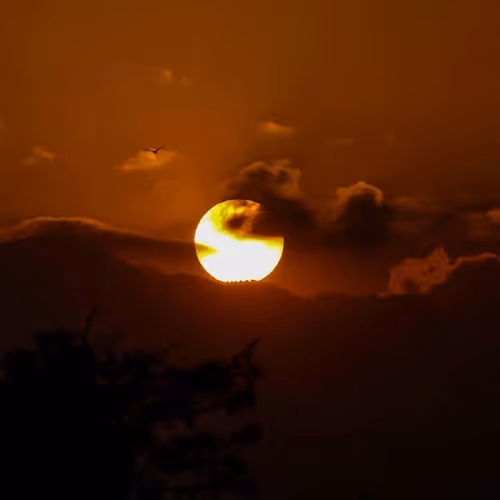 Sunset Symphony ????
