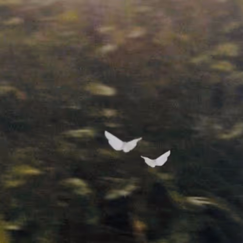 Inthemeadows - Foralltime