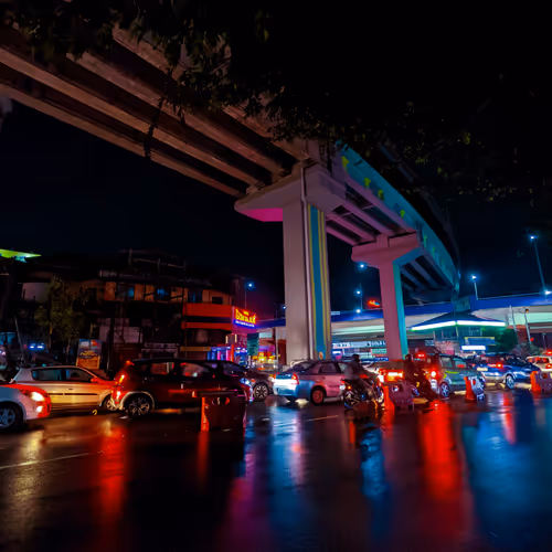 Nocturnal Hues