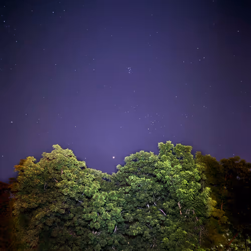 Guardians of the Night