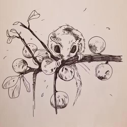 Sketch2
