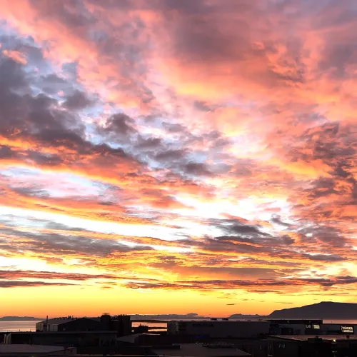Midnight Sunset