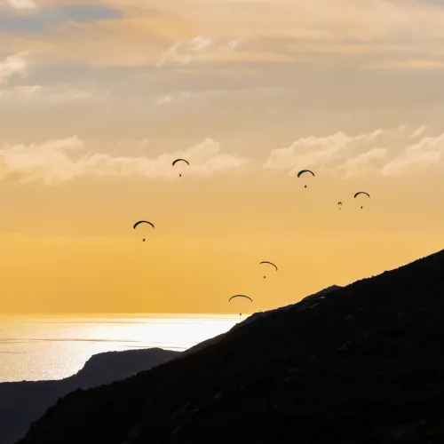 Wings of Courage