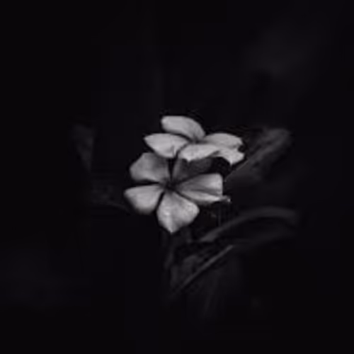 Tesh - PARTICLES