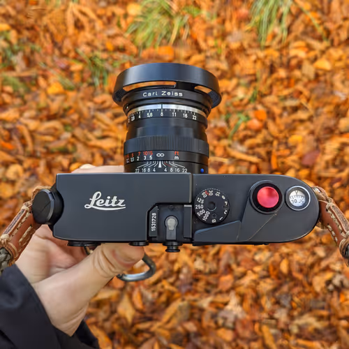 Autumn with my Leica
