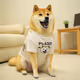 Best Doge merch in the whole galaxy