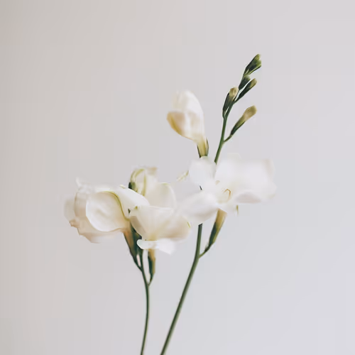 Here’s the one thing no one tells you about making it as an artist…