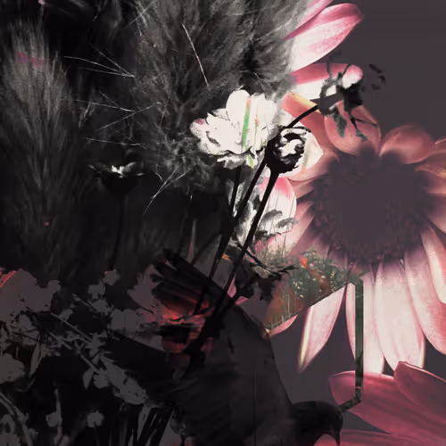 Pink Scattered Thoughts