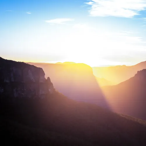 Waking the Wilderness