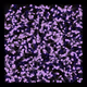 Magical Particle's