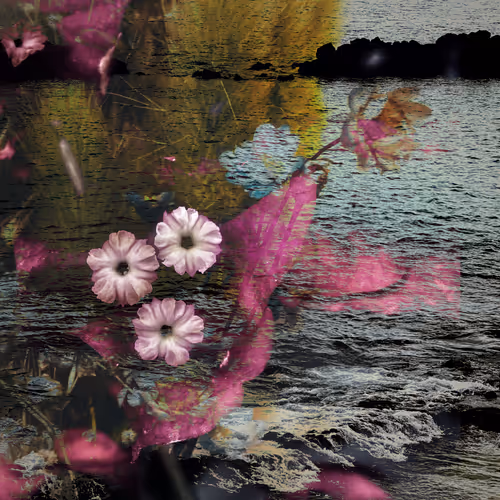 Natural Wonders