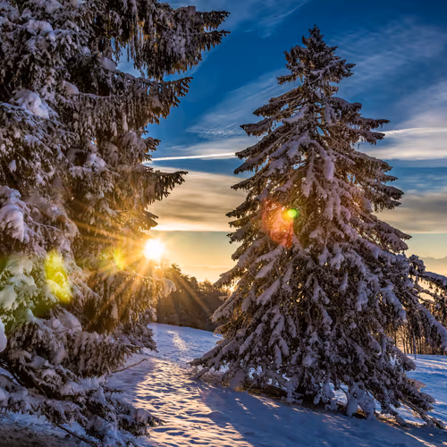 Serenity in Winter