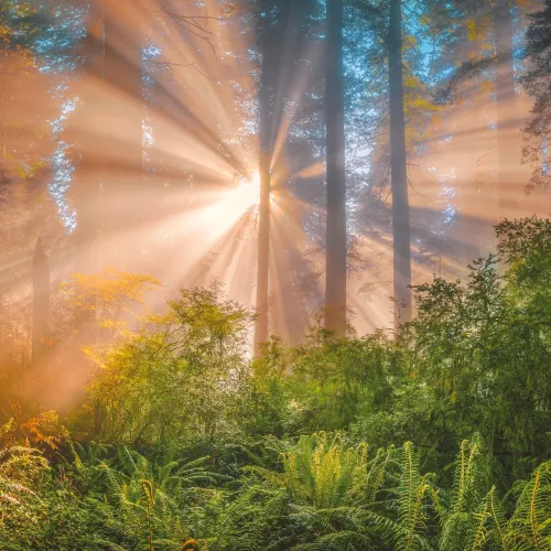 Be A Light