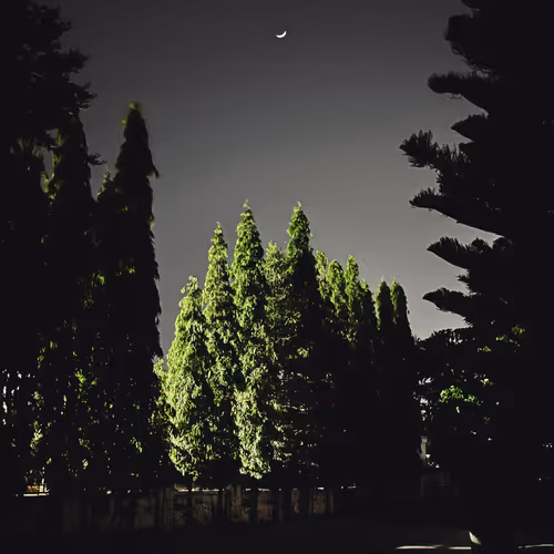 Nocturnal