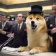 Doge of Wolf Street