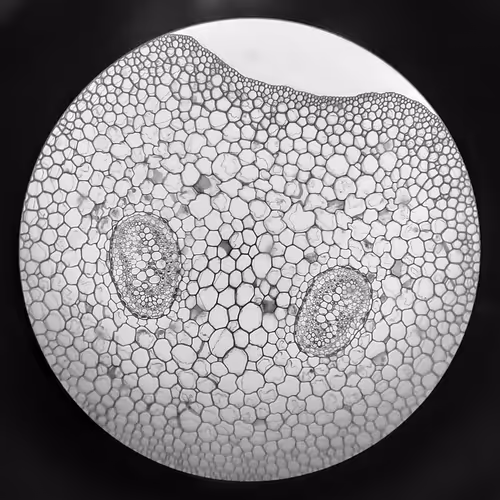 Micro-Ink