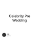 Celebrity Pre Wedding