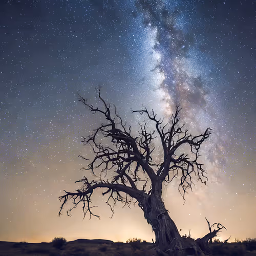 Milky Way#2