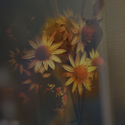 Golden Fields
