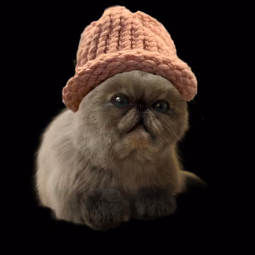 Miggles wif hat