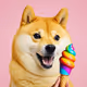 Doge Want Ice Cream