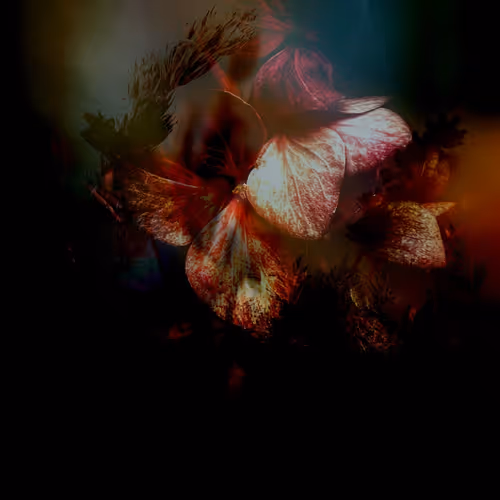 Darkness Ablaze