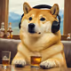 Doge DJ