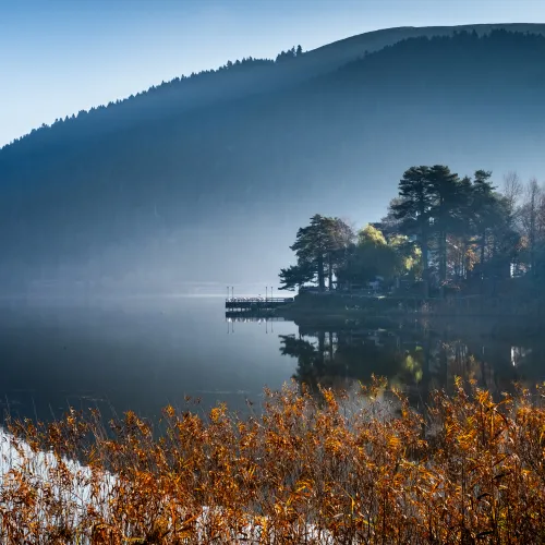 Reflection