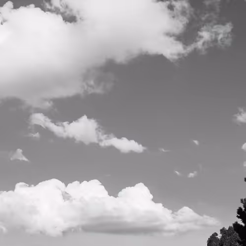 Look up. Breathe. Trust.