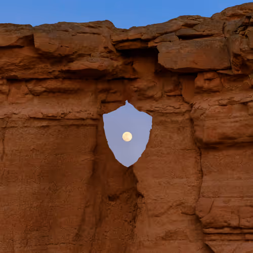 Nature Stands with Crypto