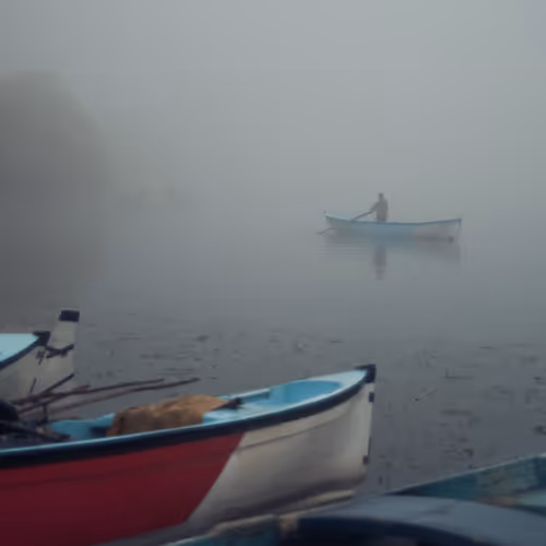 Foggy Morning...