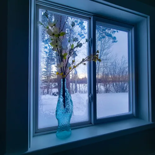Winter Mornings in Wisconsin