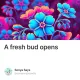 A fresh bud opens