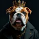 Bulldog Bastion #370