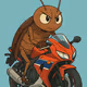 moto cockroach