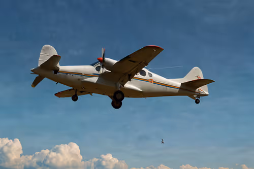 Item #300005832 Media