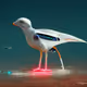 seagull