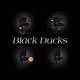 Black Ducks
