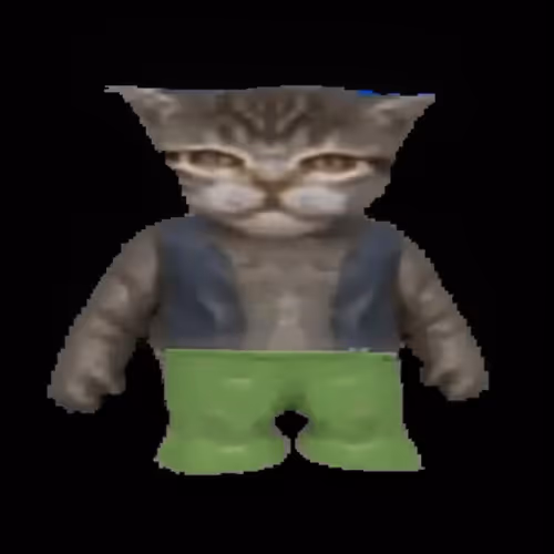 cats in pants